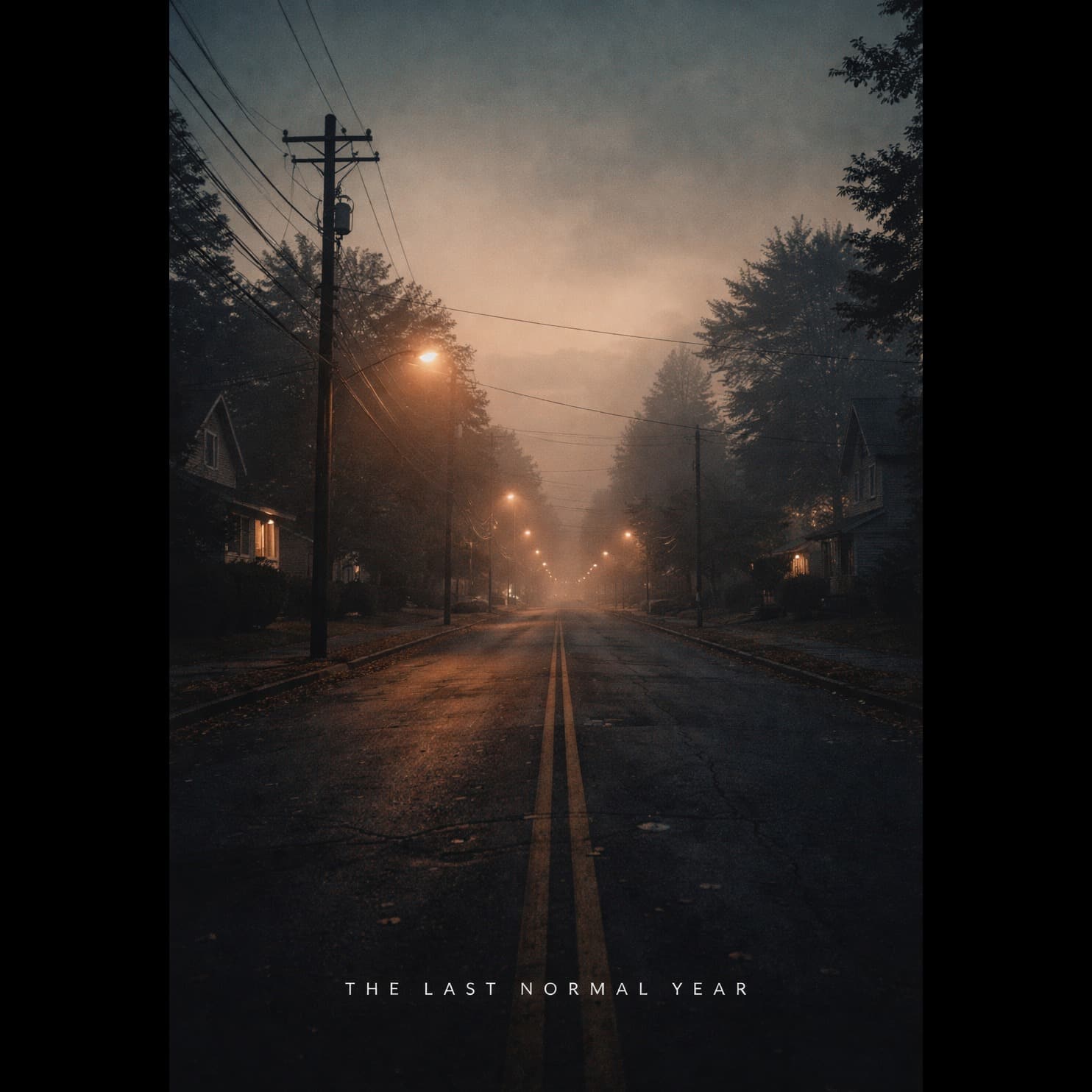 The Last Normal Year artwork